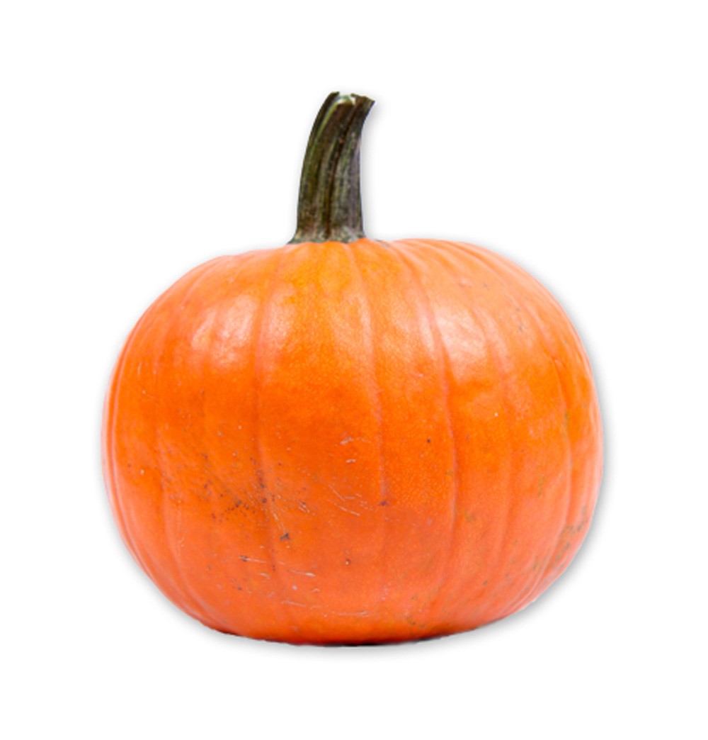 Halloweenpumpa odlas från september till november
